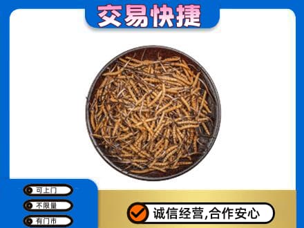 景德镇高价回收散虫草